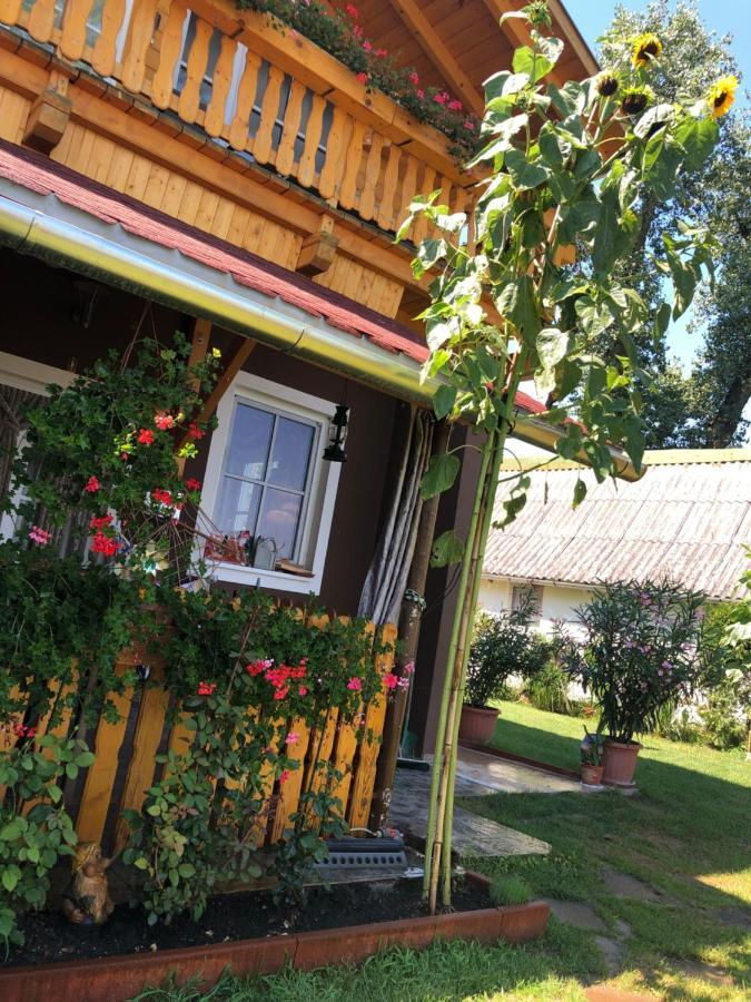 Hero 4 Sterne Ferienhaus Бая Экстерьер фото